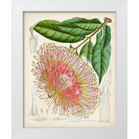 Delicate Tropicals IV White Modern Wood Framed Art Print by Curtis