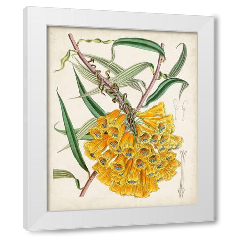 Delicate Tropicals VI White Modern Wood Framed Art Print by Curtis