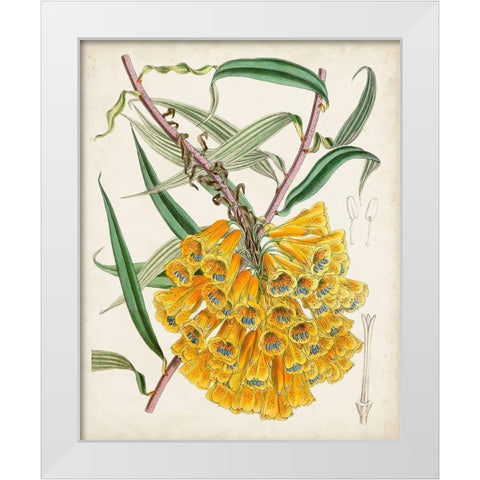 Delicate Tropicals VI White Modern Wood Framed Art Print by Curtis