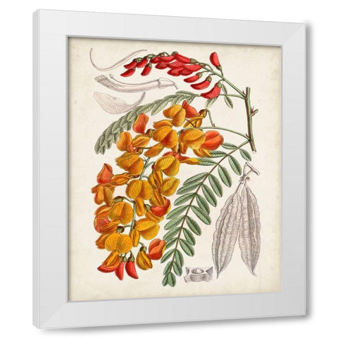 Delicate Tropicals IX White Modern Wood Framed Art Print by Curtis