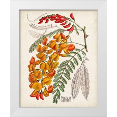 Delicate Tropicals IX White Modern Wood Framed Art Print by Curtis