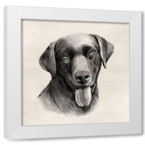 Charcoal Labrador I White Modern Wood Framed Art Print by Popp, Grace