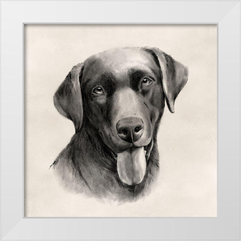 Charcoal Labrador I White Modern Wood Framed Art Print by Popp, Grace