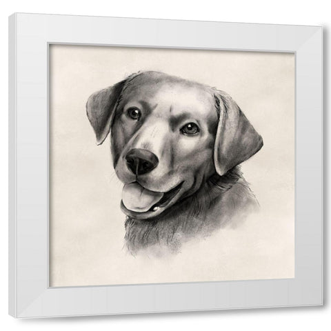 Charcoal Labrador II White Modern Wood Framed Art Print by Popp, Grace