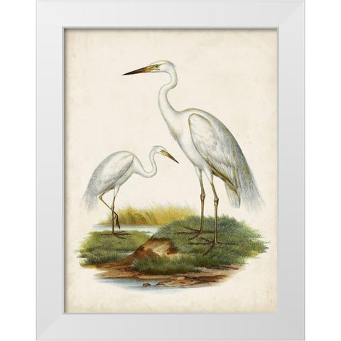 Antique Waterbirds V White Modern Wood Framed Art Print by Unknown