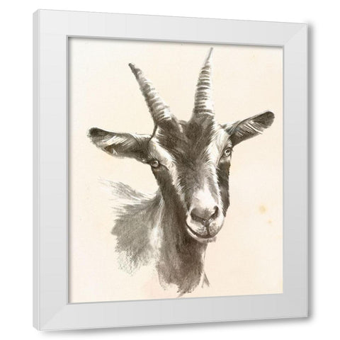 Sketched Farm Portraits II White Modern Wood Framed Art Print by Parker, Jennifer Paxton