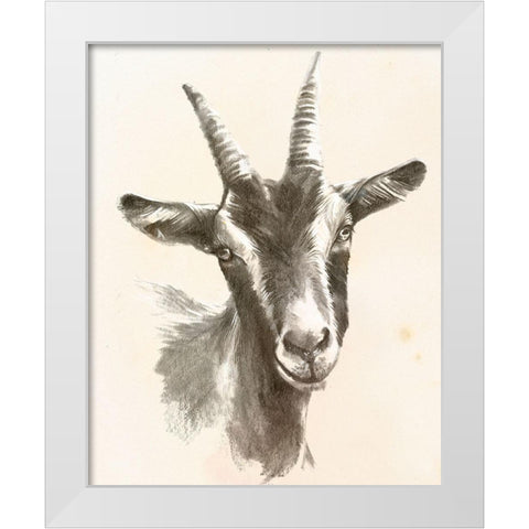 Sketched Farm Portraits II White Modern Wood Framed Art Print by Parker, Jennifer Paxton