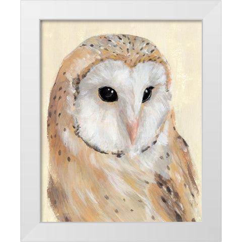 Common Barn Owl II White Modern Wood Framed Art Print by Warren, Annie