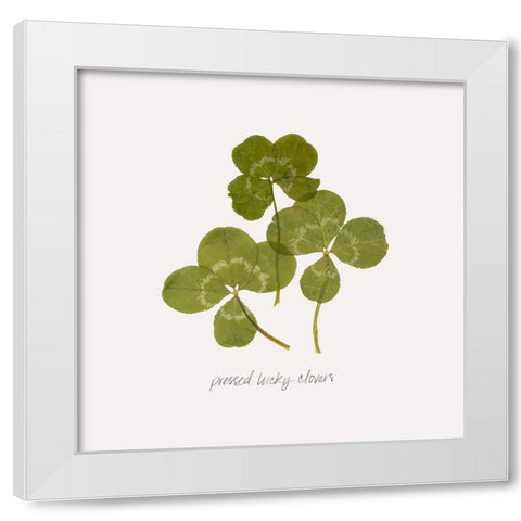 Pressed Clover II White Modern Wood Framed Art Print by Popp, Grace