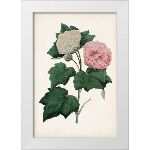 Vintage Rose Clippings II White Modern Wood Framed Art Print by Vision Studio