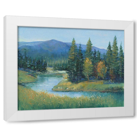 Trout Stream II White Modern Wood Framed Art Print by OToole, Tim