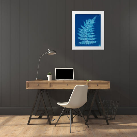 Cyanotype Ferns IX White Modern Wood Framed Art Print by Unknown