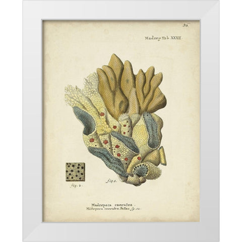 Ecru Coral III White Modern Wood Framed Art Print by Esper, Johann