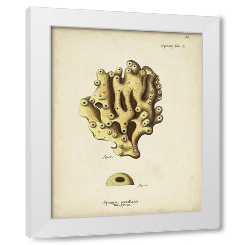 Ecru Coral X White Modern Wood Framed Art Print by Esper, Johann