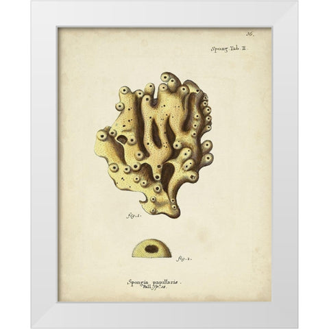 Ecru Coral X White Modern Wood Framed Art Print by Esper, Johann
