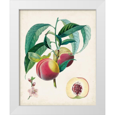 Belle Bauce White Modern Wood Framed Art Print by Poiteau, Pierre Antoine