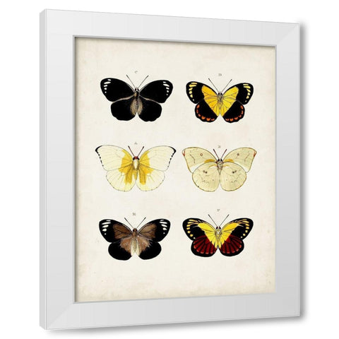 Vintage Butterflies I White Modern Wood Framed Art Print by Vision Studio