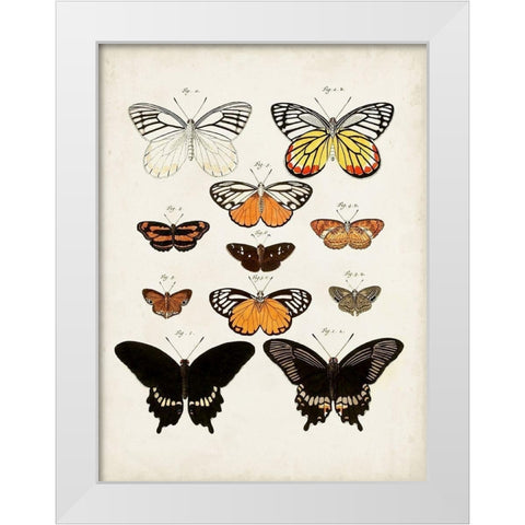 Vintage Butterflies III White Modern Wood Framed Art Print by Vision Studio