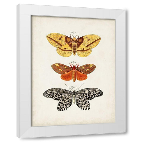 Vintage Butterflies IV White Modern Wood Framed Art Print by Vision Studio