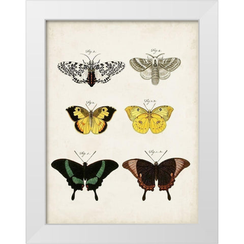 Vintage Butterflies VI White Modern Wood Framed Art Print by Vision Studio