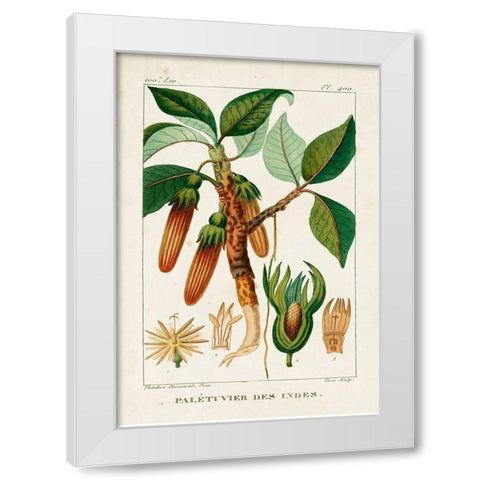 Turpin Foliage and Fruit I White Modern Wood Framed Art Print by Turpin