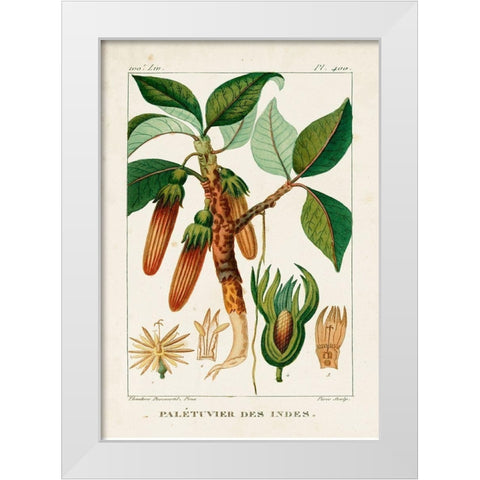 Turpin Foliage and Fruit I White Modern Wood Framed Art Print by Turpin