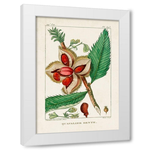 Turpin Foliage and Fruit II White Modern Wood Framed Art Print by Turpin