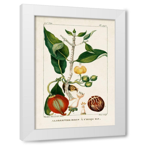 Turpin Foliage and Fruit III White Modern Wood Framed Art Print by Turpin