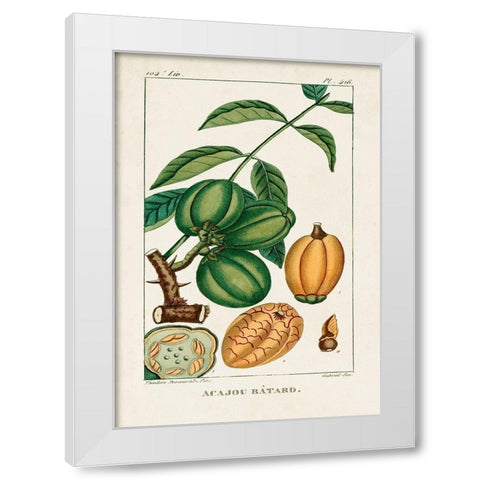 Turpin Foliage and Fruit IV White Modern Wood Framed Art Print by Turpin