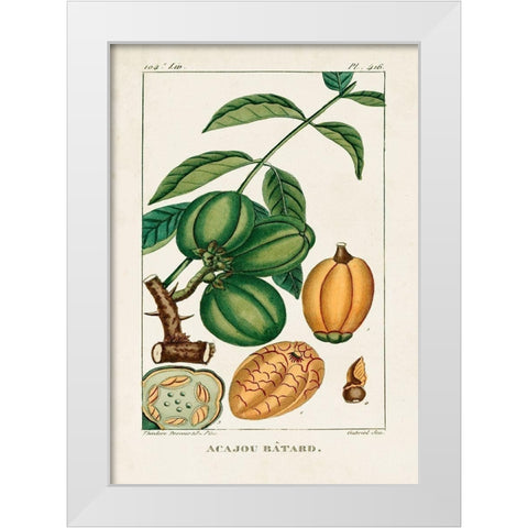 Turpin Foliage and Fruit IV White Modern Wood Framed Art Print by Turpin