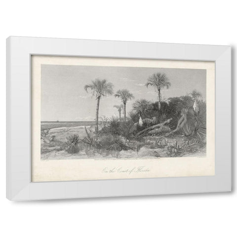On the Coast of Florida White Modern Wood Framed Art Print by Bryant, William Cullen