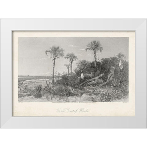 On the Coast of Florida White Modern Wood Framed Art Print by Bryant, William Cullen