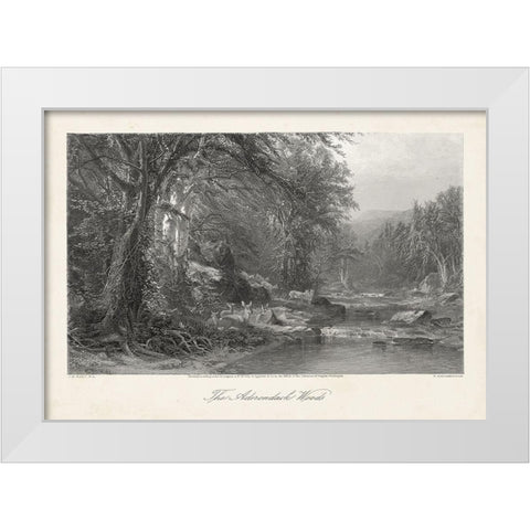 The Adirondack Woods White Modern Wood Framed Art Print by Bryant, William Cullen