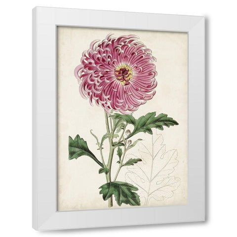 Garden Gems I White Modern Wood Framed Art Print by Curtis