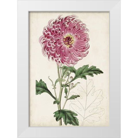 Garden Gems I White Modern Wood Framed Art Print by Curtis