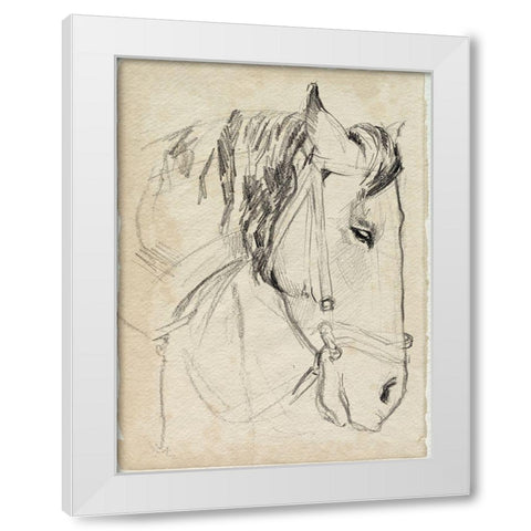 Horse in Bridle Sketch I White Modern Wood Framed Art Print by Parker, Jennifer Paxton