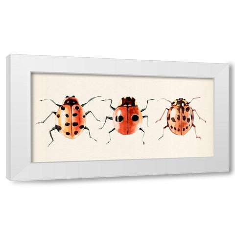 Ladybug Display II White Modern Wood Framed Art Print by Warren, Annie