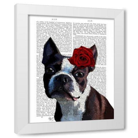 Boston Terrier with Rose on Head White Modern Wood Framed Art Print by Fab Funky