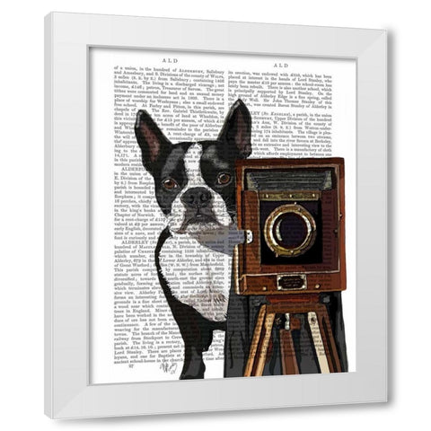 Boston Terrier Photographer White Modern Wood Framed Art Print by Fab Funky