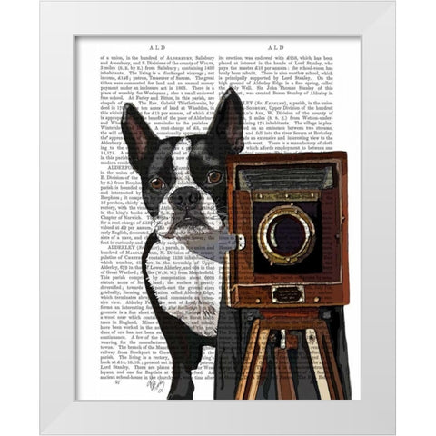 Boston Terrier Photographer White Modern Wood Framed Art Print by Fab Funky
