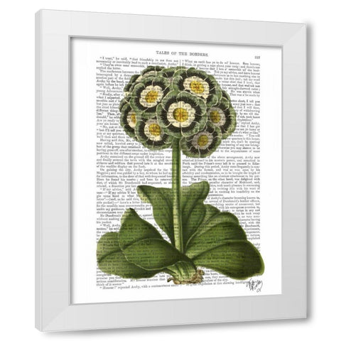 Primula Auricula Blue White Modern Wood Framed Art Print by Fab Funky
