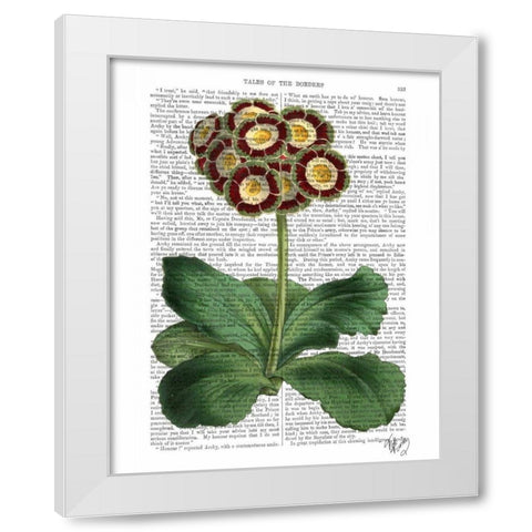 Primula Auricula Red White Modern Wood Framed Art Print by Fab Funky