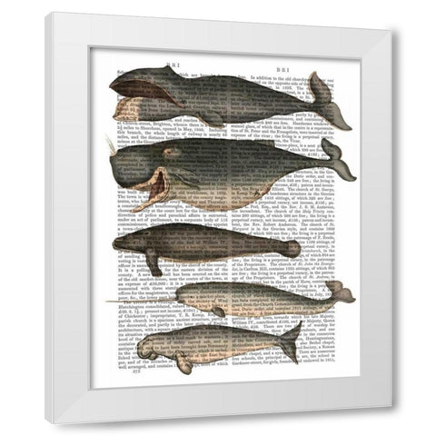 Five Vintage Whales White Modern Wood Framed Art Print by Fab Funky