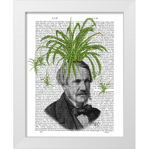 Spider Plant Head White Modern Wood Framed Art Print by Fab Funky