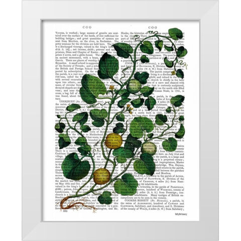 Squash Vine 4 White Modern Wood Framed Art Print by Fab Funky