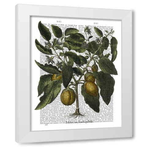 Peppers 6 White Modern Wood Framed Art Print by Fab Funky