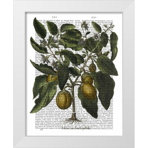Peppers 6 White Modern Wood Framed Art Print by Fab Funky