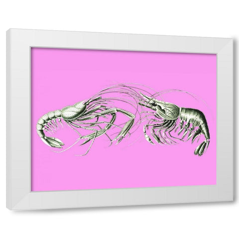Shrimps On Pink White Modern Wood Framed Art Print by Fab Funky