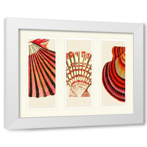 Red and Cream Shells on 3 Panels White Modern Wood Framed Art Print by Fab Funky
