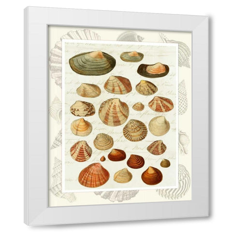 Shells on Vintage Script White Modern Wood Framed Art Print by Fab Funky